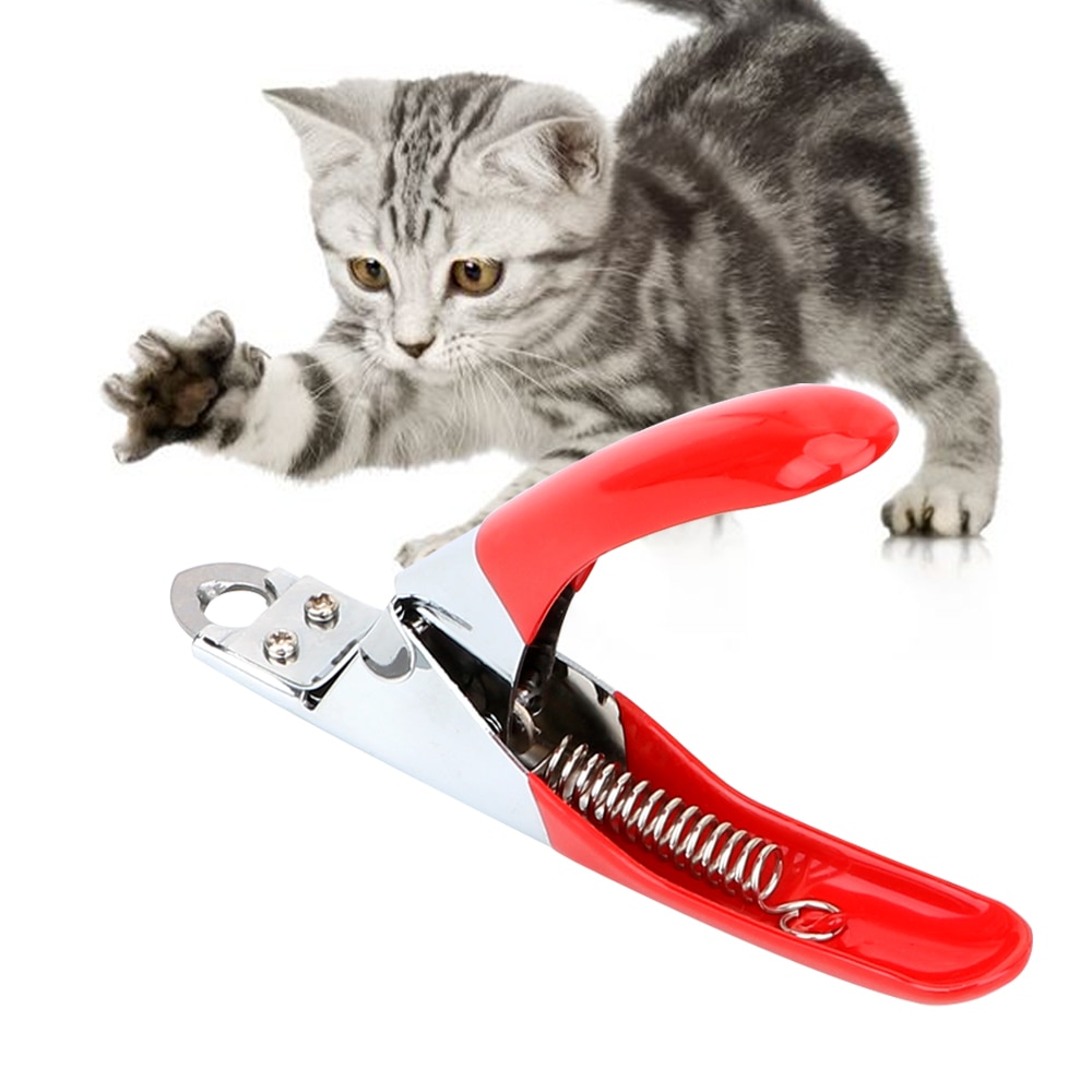 Kæledyrsprodukter klosakse rustfrit stål kæledyrsnegleklippere trimmer kat pleje katteforsyninger cutter