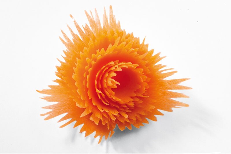 ! 1 Uds. Cortador en espiral de zanahoria, dispositivo de corte en forma de embudo, utensilios de cocina, plato de fruta fresca con rollo de flores