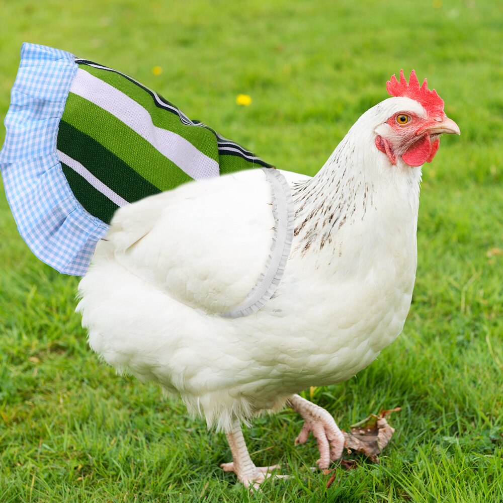 Chicken Vest Poultry Dress Duck Goose Vest Costume Poultry Apparel Supply