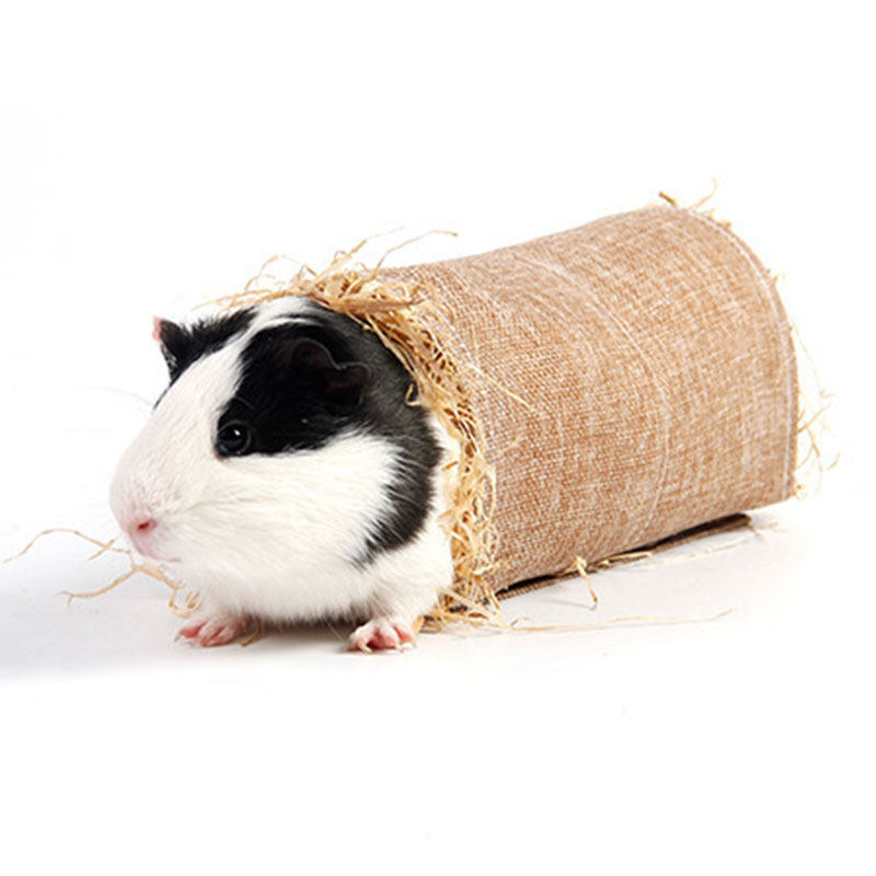 Tapis à mâcher en forme d'herbe de lapin et de Hamster, accessoire pliable en paille tissée pour Animal de compagnie, lit de maison, cochon d'inde