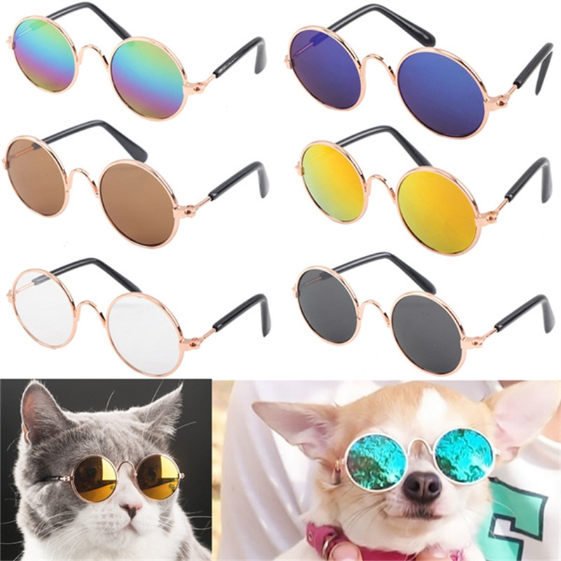 Hund katt kjæledyr briller solbriller liten hund briller bilder rekvisitter hund katt tilbehør kjæledyr rekvisita til kjæledyr produkter katt briller