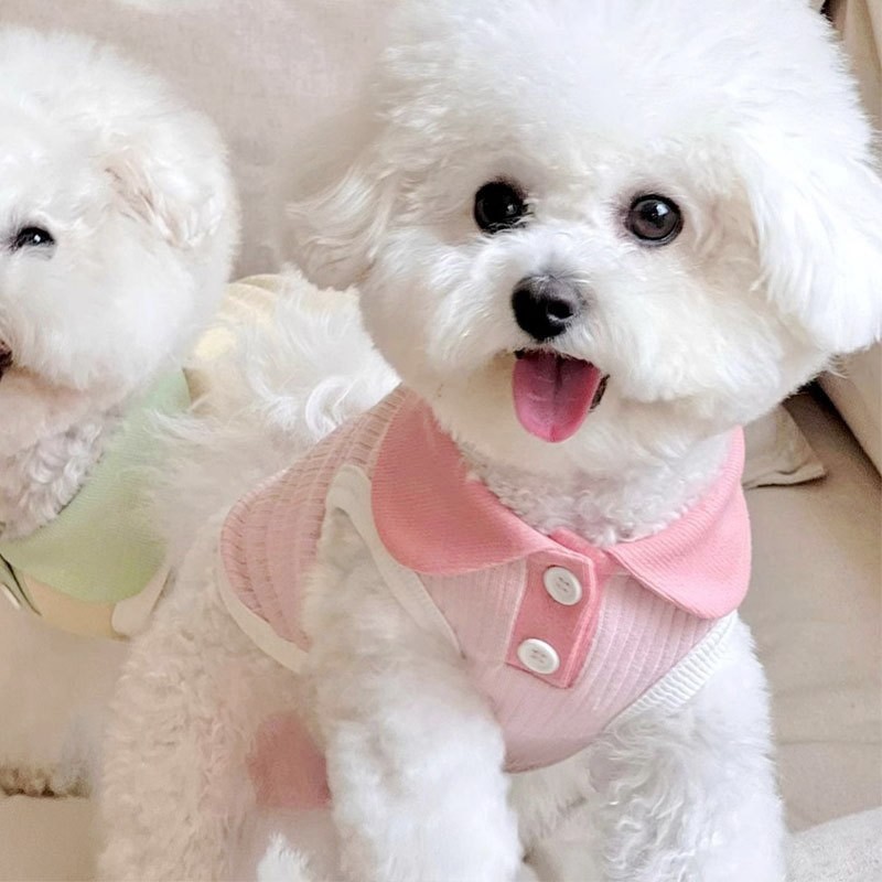 Vêtements pour chiens imprimés fraises, gilet rose pour animaux de compagnie, Costume pour chiot, Polo pour chien et chat, Chihuahua Bichon, T-Shirt mignon pour filles, pull pour chien: XS / Rose