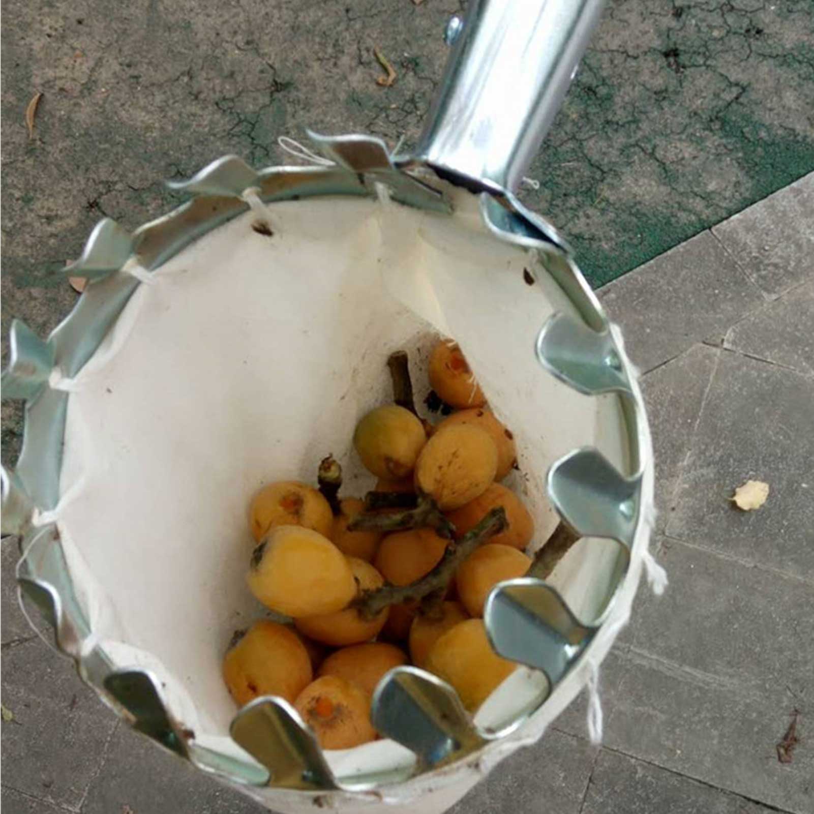 Asta telescopica per raccoglitrice di frutta con borsa telescopica per raccolta di frutta strumento per la raccolta di melone da giardino