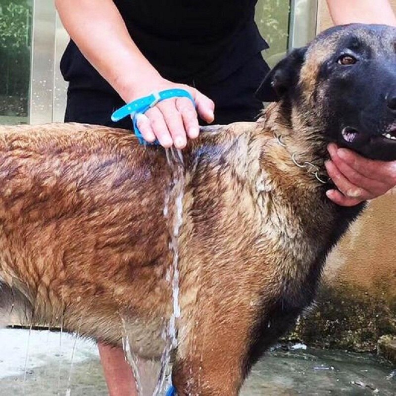 Masajeador cómodo de mano para Herramienta de baño para mascotas, herramienta de limpieza, rociador de baño, guante para perro, gato, caballo, cepillo, suministros para mascotas