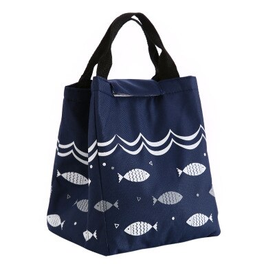 Portable Insulated Lunch Box Portable Cooler Lunch Bag Dinner Container School Food Storage Picnic Trip Cartoon Kids Women: B6  23X17X19CM