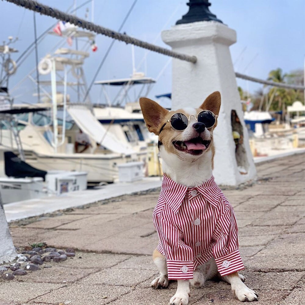 Kjæledyr hund katt klær drakt stripet skjorte vinter høst klær for små mellomstore hunder chihuahua fransk bulldog mops yorkie frakk