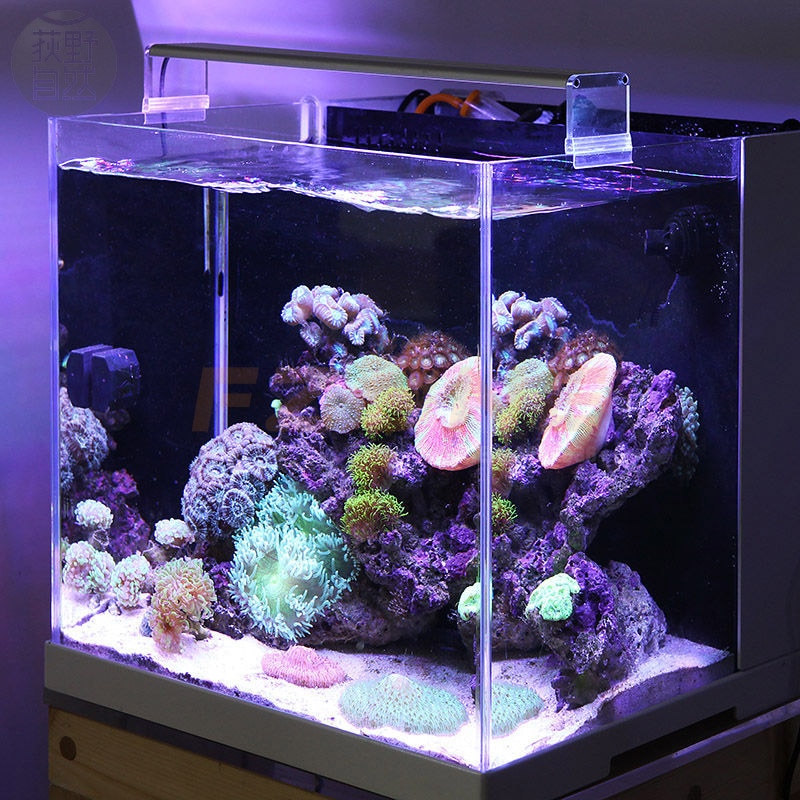 Récif réservoir Aquario Chihiros LED pour aquarium lampe d'éclairage pour poisson marin et corail bleu blanc et luminosité couleur réglable