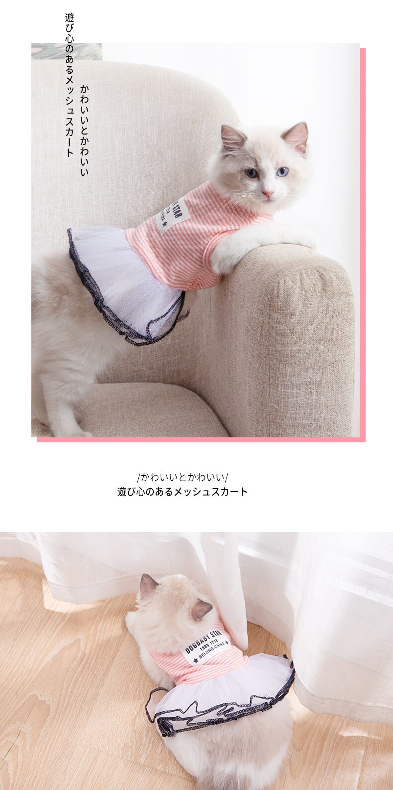 Mignon coupe-vent Costume chat robes tenue Animal vêtements Costume pour temps froid Vestidos Para Gato chat vêtements OO50QZ