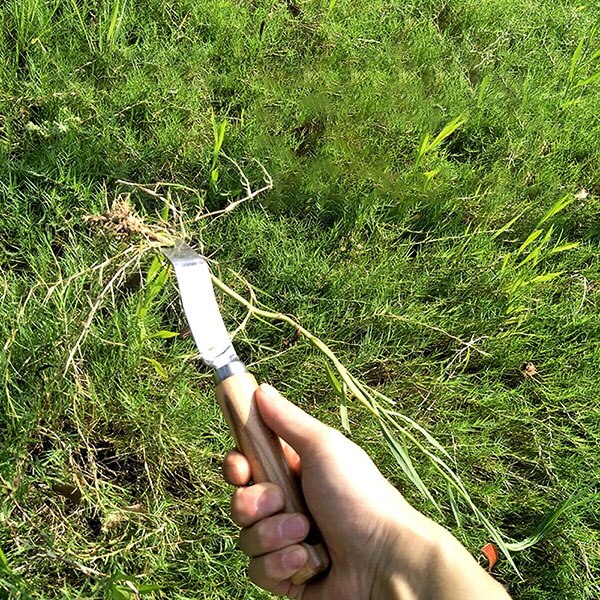 28cm racines enlève le désherbeur manuel de jardin 88