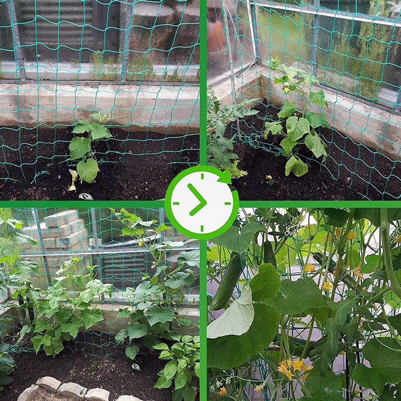 1pcs Garden Plants Climbing Netting Nylon Flower Vine Netting Bean Plant Nets Grow Fence Home Garden Tool