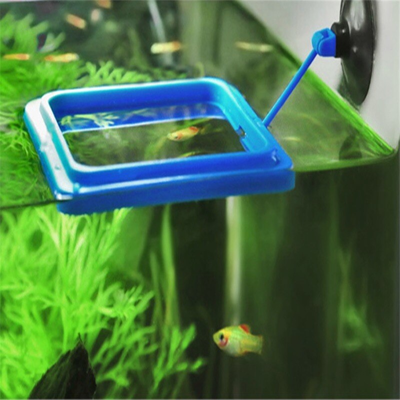 Aquarium Feeding Ring Fish Tank Station Floating Food Tray Feeder Square Circle Accessory Water Plant Buoyancy Suction Cup