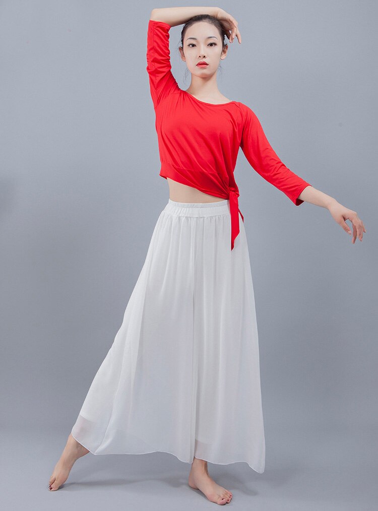 Latin Pant Standard Training Trousers Dance Pants Tango Waltz Dancing Costumes Women Ballroom Competition Belly Dance Pants: Silver