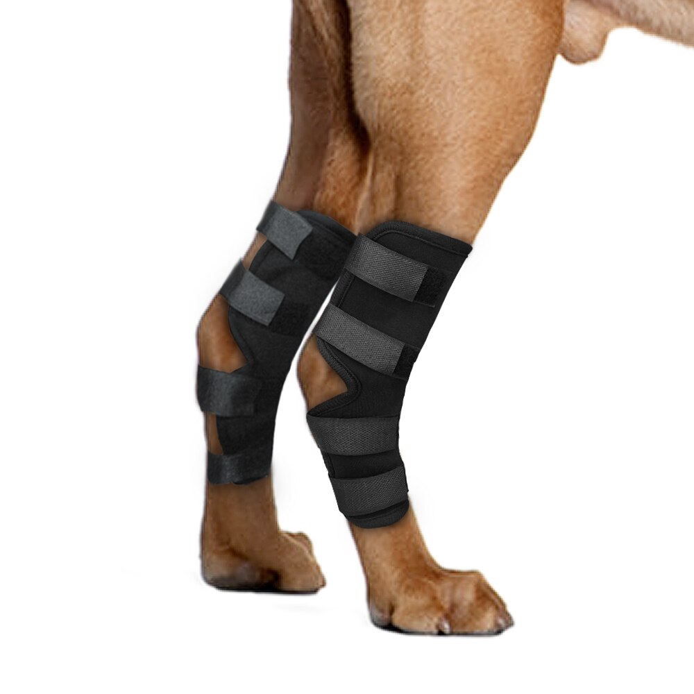 Dog Recovery Sleeve Knee Pad Large Dog Support Ankle Brace Breathable Hind Leg Hock Joint Wrap Injury Recover Dog Legs Protector