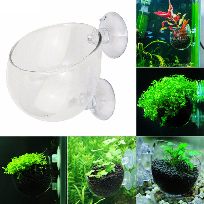 Aquarium Accessoires Crystal Clear Glas Plant Pot Plant Bekerhouder Aquarium Landschappen Cups: Default Title