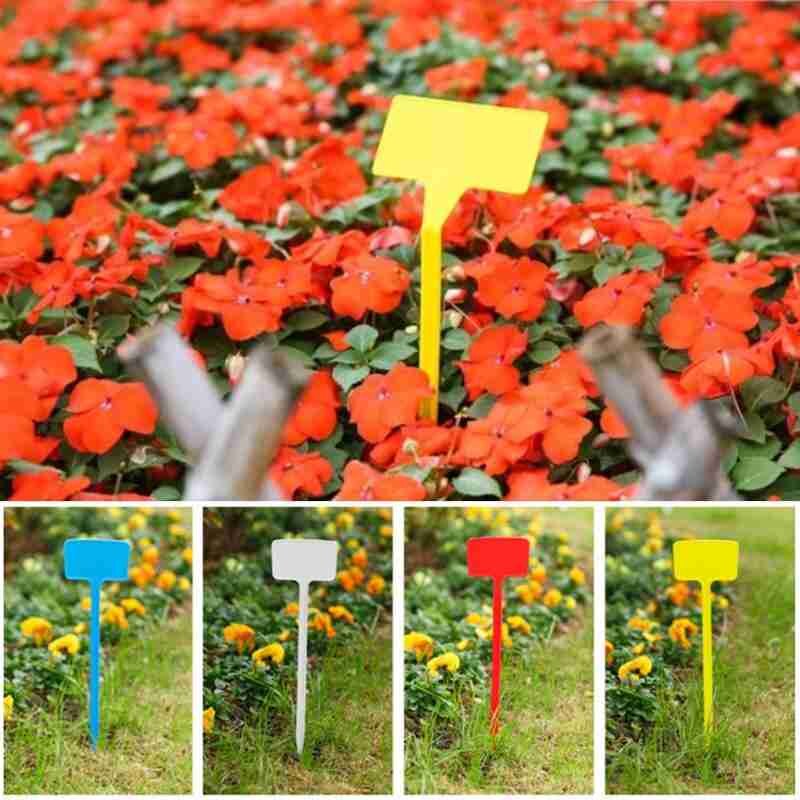 10 Pcs 30 Cm T-Type Plastic Kwekerij Plant Label Tuinieren Plant Classificatie Sorteren Teken Ticket Bloem Dikke tag Mark