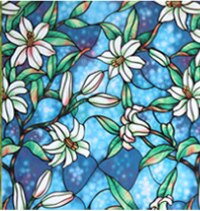 Film adhésif pour vitres, 45CM de large * 200CM de Long, Film décoratif coloré pour la maison: Default Title