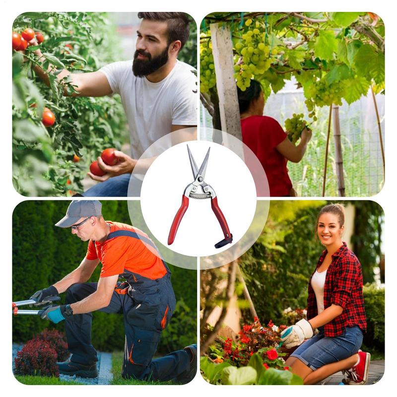 Tuinieren Hand Snoeischaar Tuin Schaar Hand Snoeischaar Snoeischaar Blad Trimmer Rechte Bloemist Schaar Tuinieren Handgereedschap
