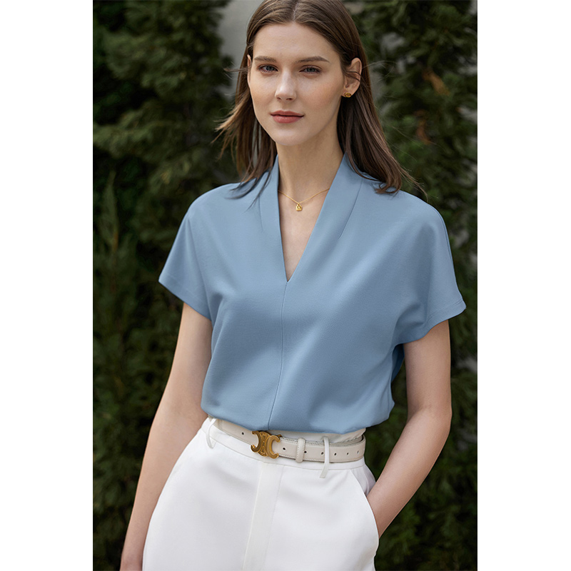 AMII Minimalisme 2023 Zomer dames T-shirt Klassieke Stijl Casual V-hals Korte Mouw Effen Stretch Vrouwelijke Tops & Tees 12312013: L / Blauw