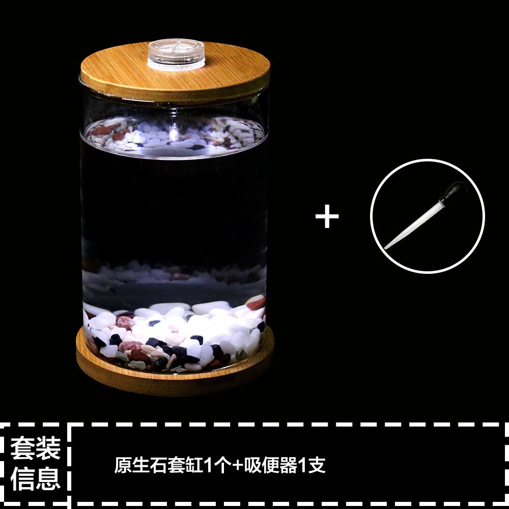 Bucket Aquarium Mini Small Glass Aquarium Desktop Micro Landscape Viewing Office Aquarium Ecological Bottle Aquarium Acuario: Sky Blue