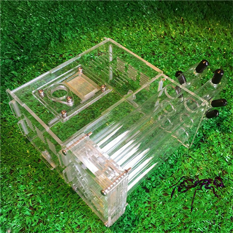Acrylic Ant Farm with Feeding Area Ant Nest Ants House Factory Insect 6 Test Tubes Pet Anthill: Type2