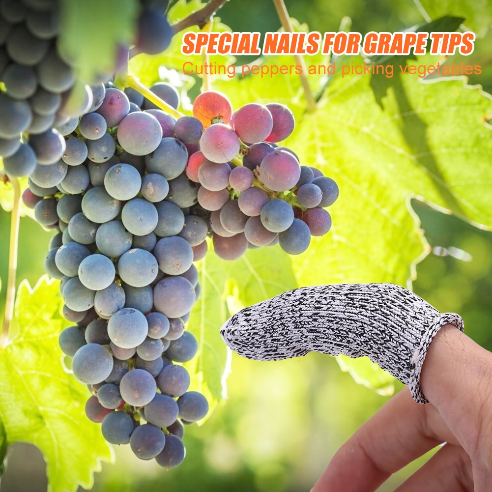 Vegetable Protector Vegetable Finger Cover Thumb Protector Garden Anti... – Grandado