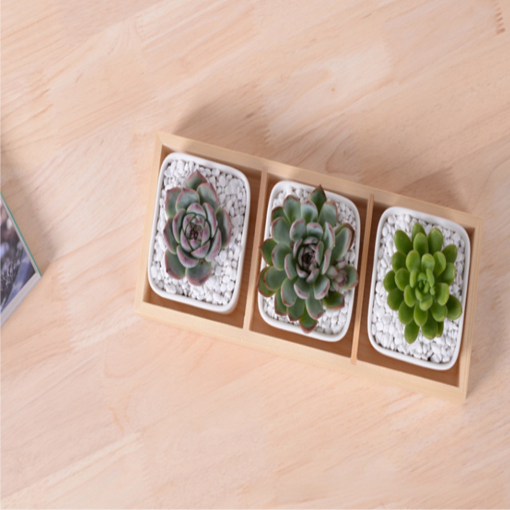 3 rutenett sukkulent plante kjøttfull urtepotteboks brett dekorative beholdere kaktus planter blomst bambus brett holder stativ