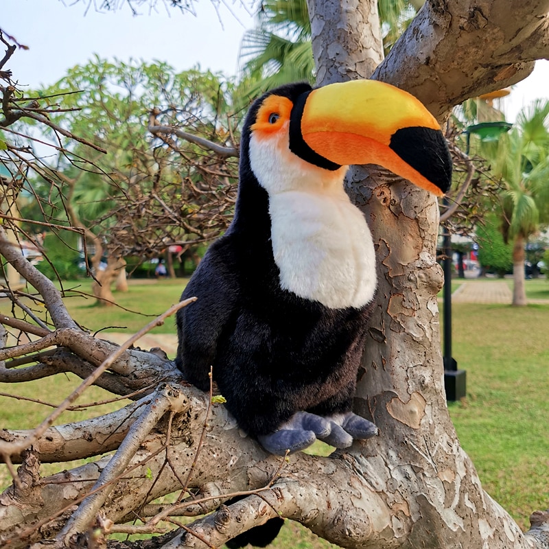 30cm grand Kyorochan Simulation Toucan oiseau Animal en peluche jouet poupée enfants d'anniversaire décoration de la maison: Default Title