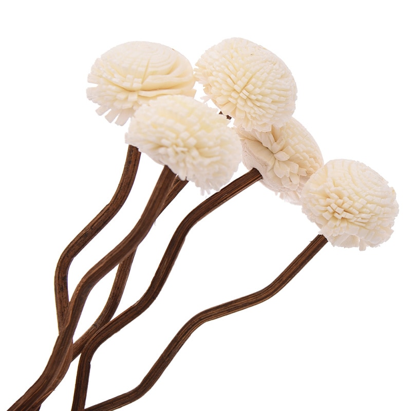 5pcs Wavy Rattan Reeds Through Flowers Diffusers Accessories DIY Reed Diffuser Replacement Stick Home Decor