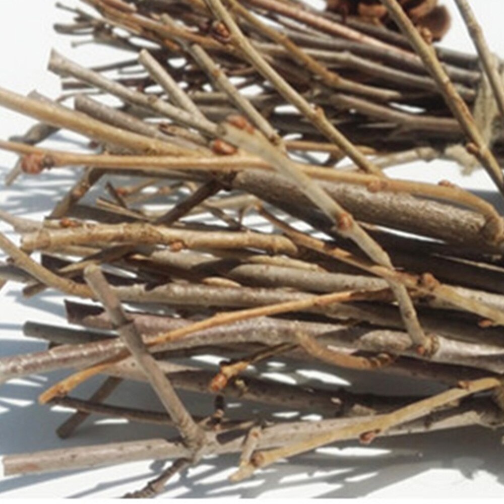 10 pièces 15CM Simulation de noël bricolage pommes de pin bâtons Branches sèches bâtons en bois pour bricolage artisanat accessoires Photo