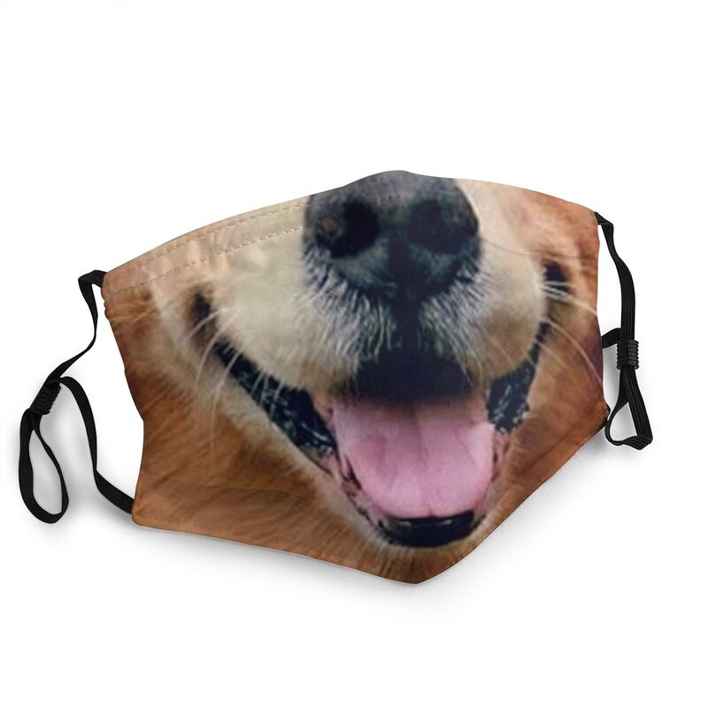 golden Retriever Maske Waschbar unisex Erwachsene ... – Grandado