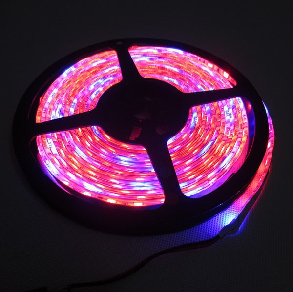 5m/ x led-kweeklampen,  dc12v x led-strips, 5050 x plantengroeilampen voor hydrocultuur in een kas