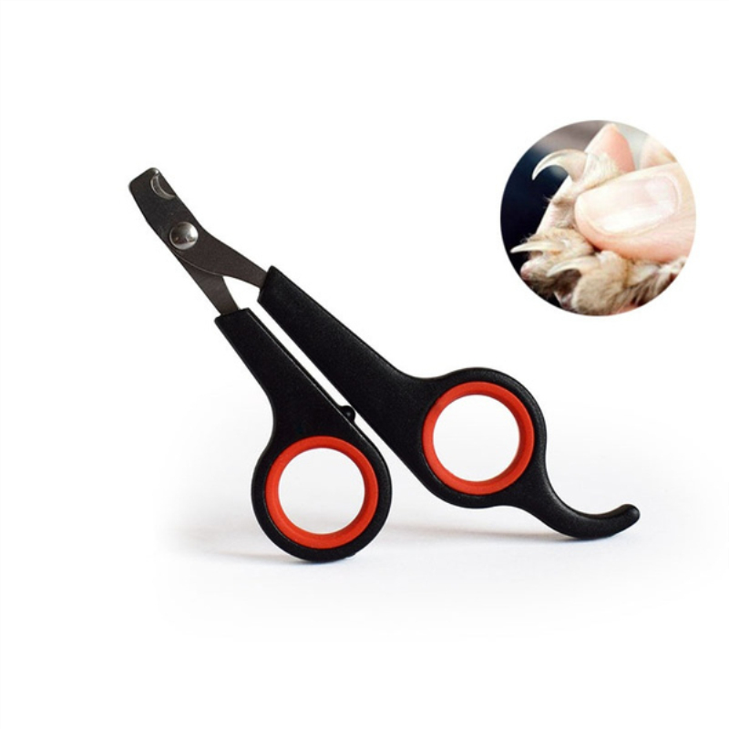 Coupe-ongles en acier inoxydable pour chien, outil de manucure pour orteils, griffes d&#39;animaux de compagnie, ciseaux de toilettage pour chiot, chat, lapin