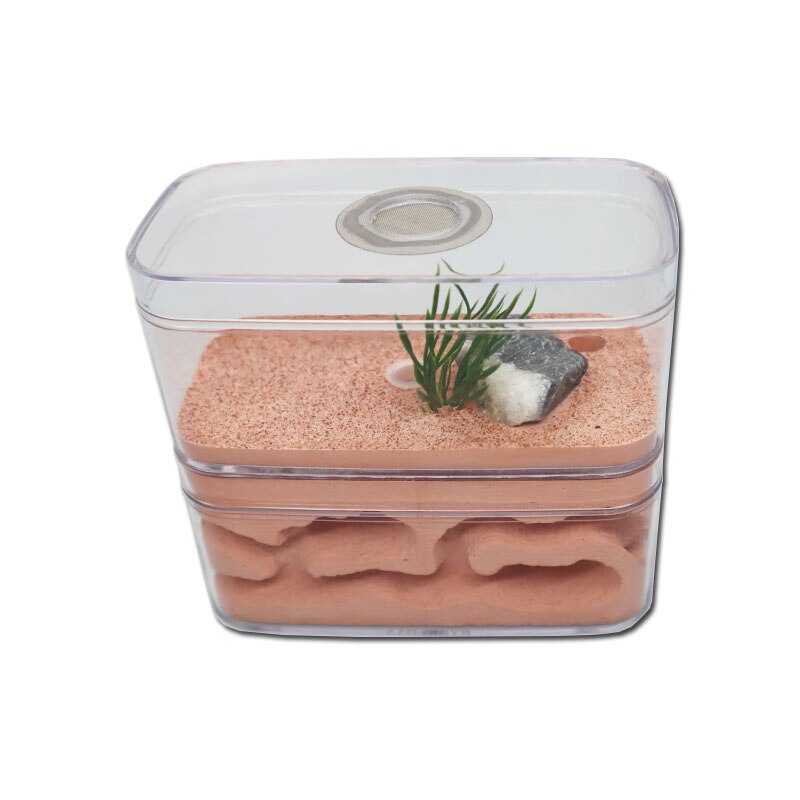 Plaster Ant Farm with Workshop Highly Moisturizing Ant Nest Pet Anthil Castle Ant House with Feeding Area Insect Box 12*6*10cm