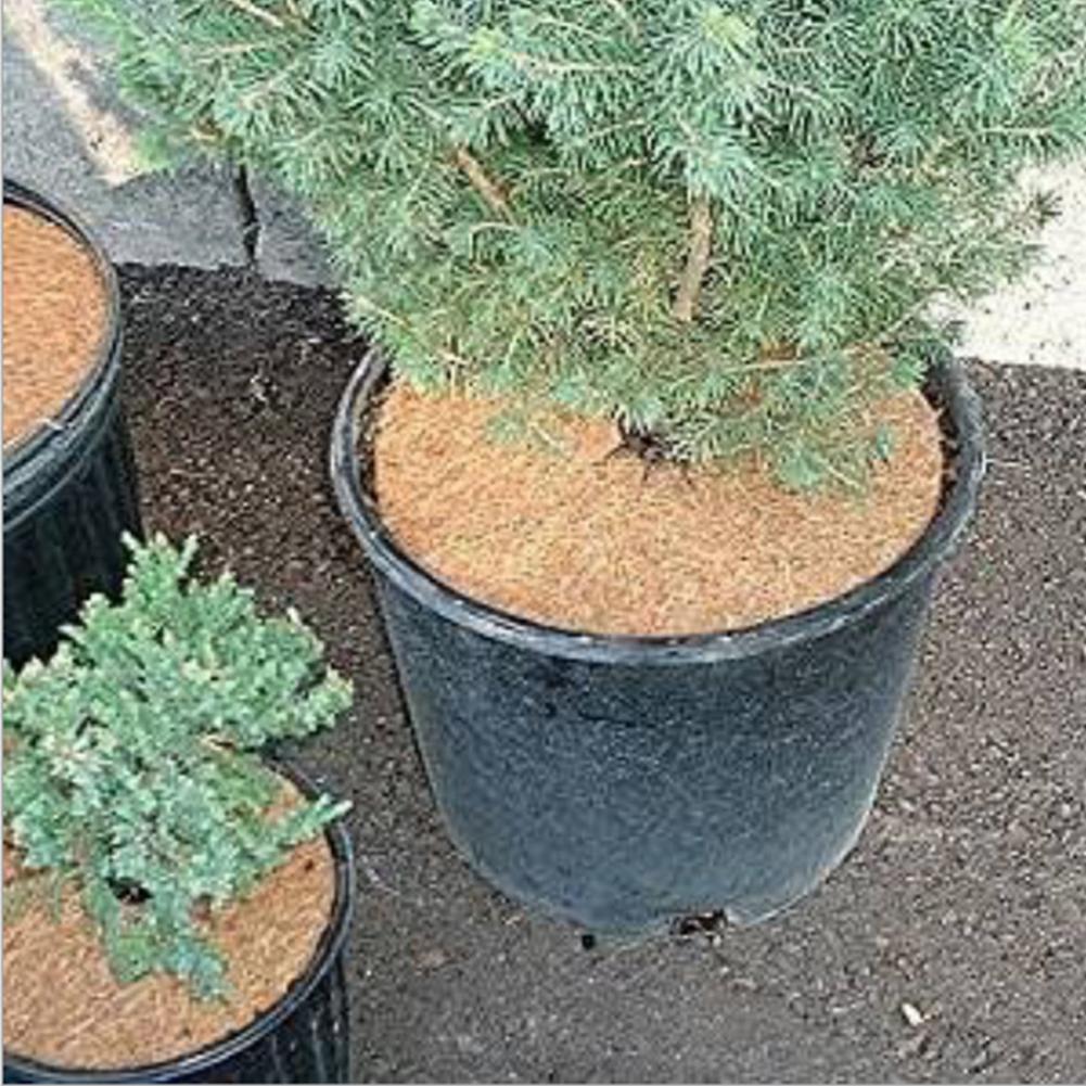 10Pcs Planten Cover Potplanten Winter Bescherming Kokosnoot Mulch Cover Kokosmat Voor Tuin Potplanten Plantkunde Warm Houden dh