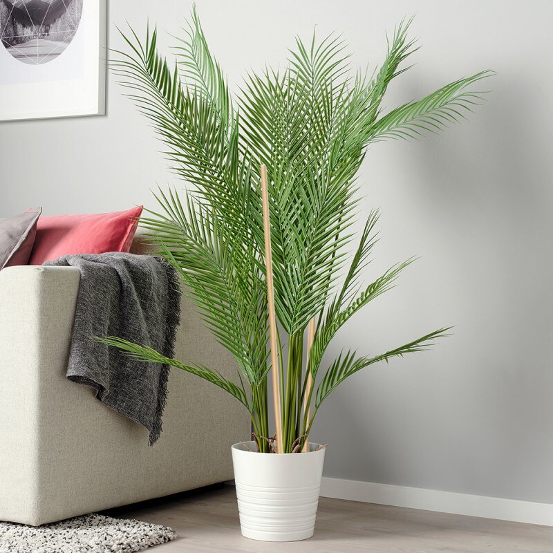 50pcs Wooden Bamboo Plant Sticks Stakes Flower Vegetables Plant Support Rods Tree Climbing Support Plant Pot Garden Bonsai Tool