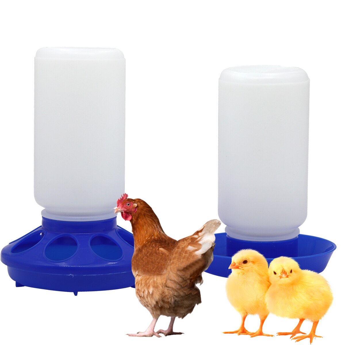 1 L Poultry Chicken Bird Food Water Bucket Feeder Tools Quail Pheasant Feed Bucket Poultry Farming Animals Feed Equipments