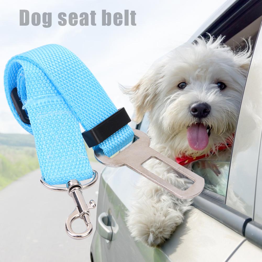 Voertuig Verstelbare Auto Pet Dog Seat Belt Hondentuig Clip Lead Clip Veiligheid Veiligheid Touw Reizen Clip Hond Levert 5 Kleur