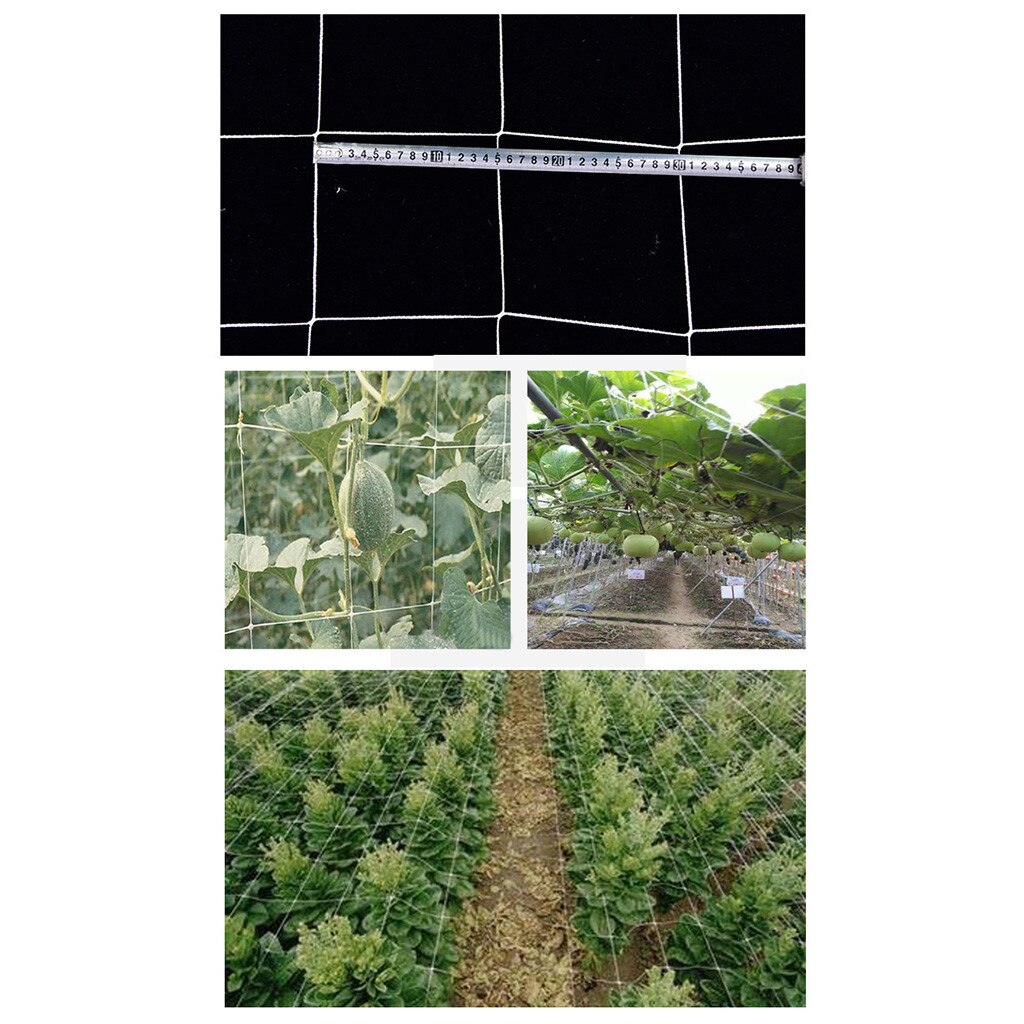 Nylon Plant Trellis Netting Netting Garden Plant Climbing Net Fence Green Flower Hydroponics Support Vegetable Climbing Nets