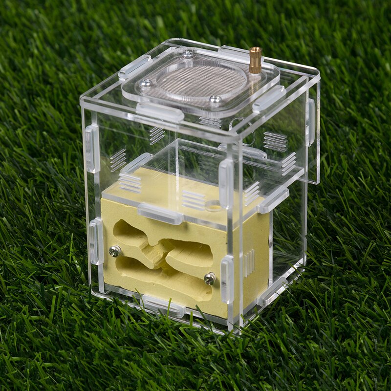 Genomskinligt myrbo husdjur myrbo gips myrfarm akryl liten loft myrstack myra 7.5 x 7.5 x 9.5cm