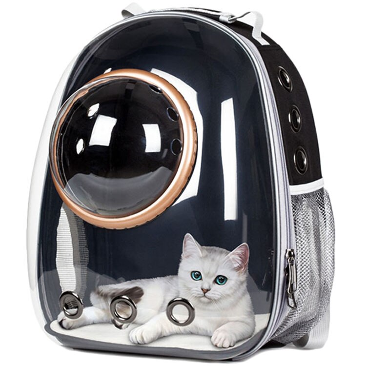 Top Astronaut Space Capsule Ademend Auto Bike Venster Bubble Kat Hond Reizen Draagtas Transparante Pet Carrier Rugzak: Black (Gold Ring)