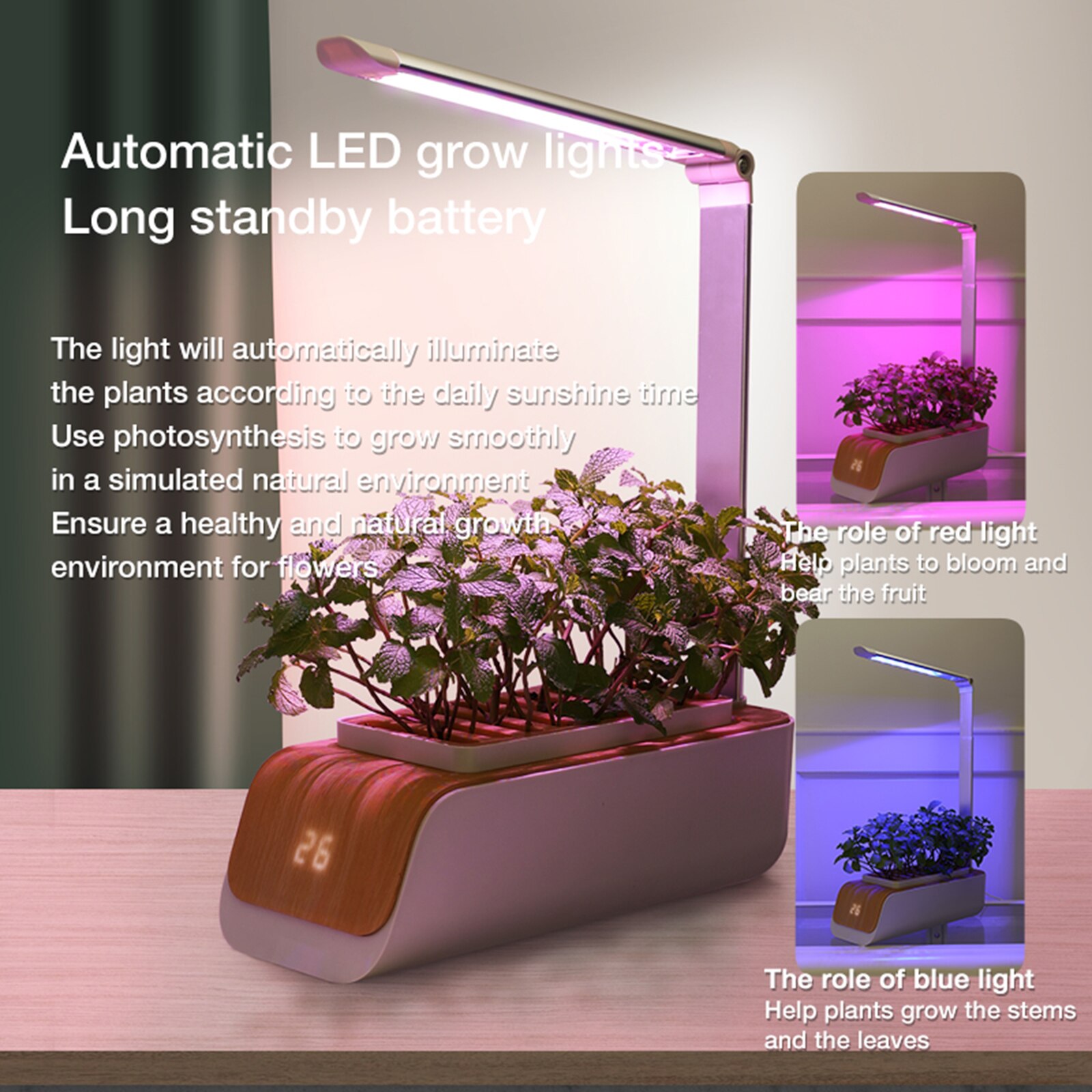 Hydroponics Growing System Kitchen Smart Garden Pl... – Vicedeal