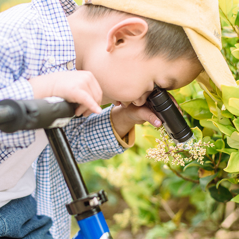 CELESTRON – Microscope monoculaire Portable à main, Microscope à Zoom progressif 60X-120X, Source de lumière, mise au point facile pour débutant/enfant