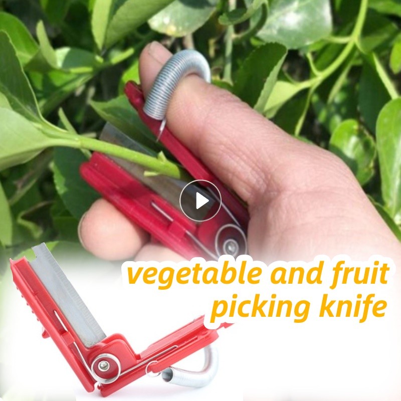 Vegetable Picking Tool Thump Knife Separator Vegetable Fruit Harvesting Picking Tool For Farm Garden Orchard Pruning Kitchen