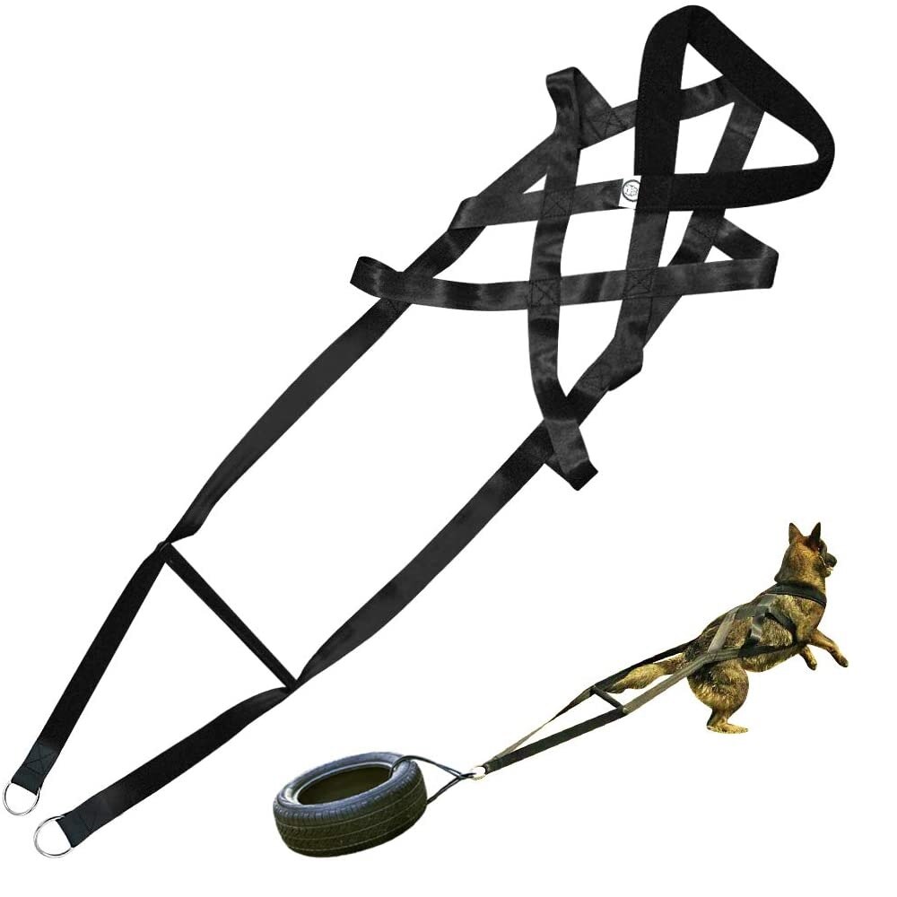 Large Dog Harness Leashes Well Trained Dog Sled Weight Pulling Harnesses For Bikejoring/ Skijoring/Dog Sledding/Canicross