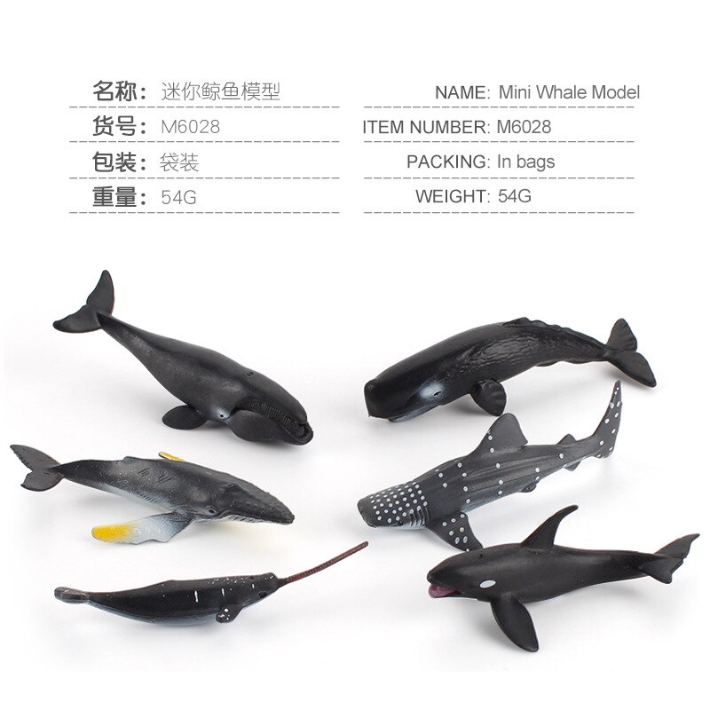 Model Wilde Mariene Organismen Model Mini Narwal Bultrug Multi-Kleine Size Effen Decoratie: Default Title