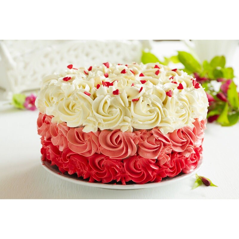 8 Piece Set Cake Tools 6 Stainless Steel Nozzles And Silicone EVA Pastry Bag Converter Backing Toll Cake Supply Baking Toll