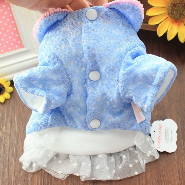 Teddy kleding biexiong bomei herfst en winterjurk huisdier pluche warme hond prinses rok kattenkleding
