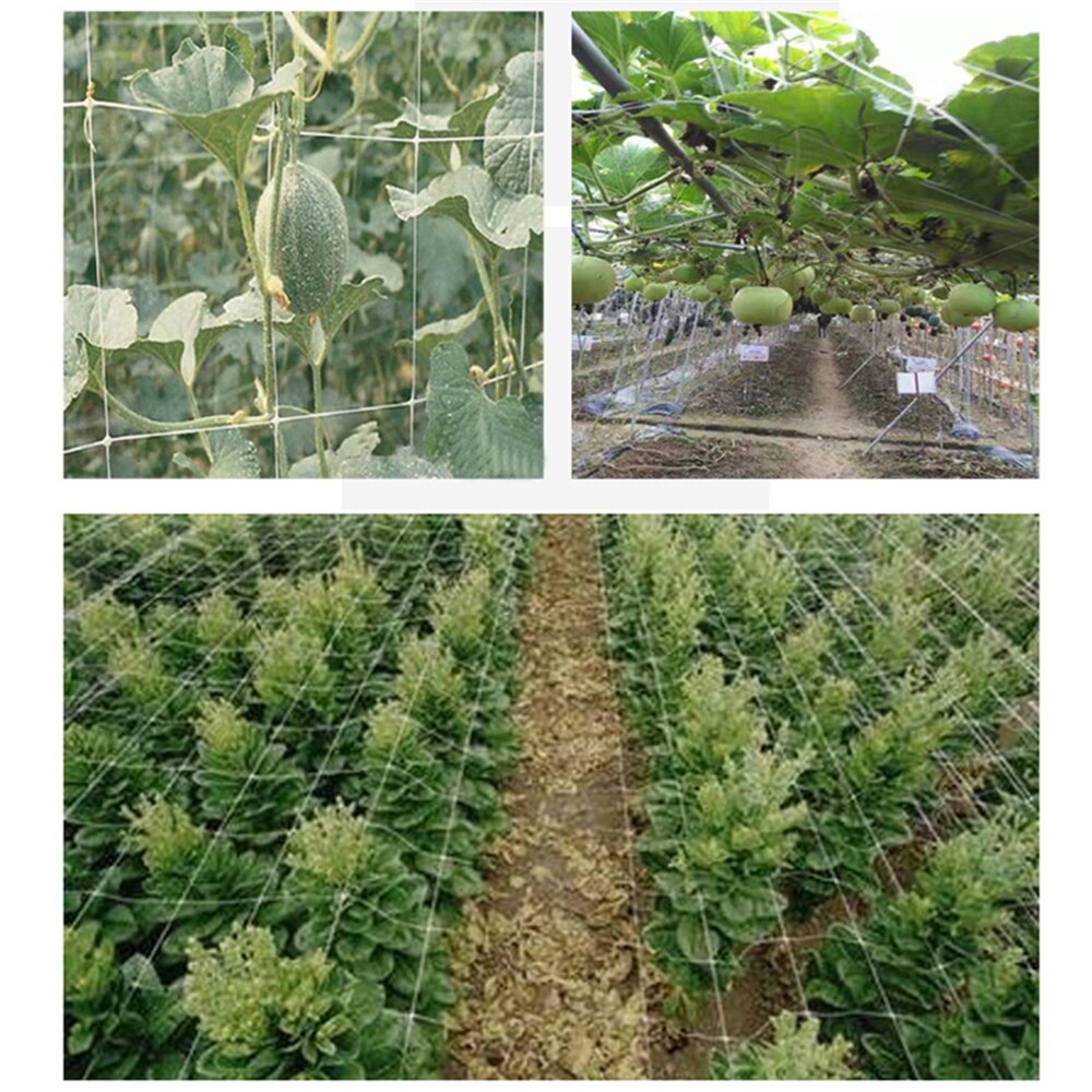 Garden Plant Trellis Netting Heavy Duty Mesh Vine Landing Weaving Grow Frame for Vegetable Orchard Flower Cucumber Climbing