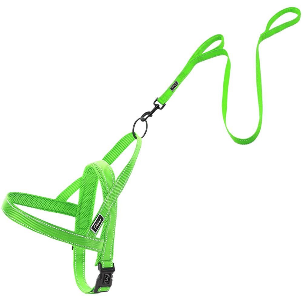 Conjunto de Correa y arnés reflectante sin tirones para perro, chaleco para mascotas de plomo para perros pequeños y grandes, Perfecto para el entrenamiento diario XXS-L caminar: XS / Green Set
