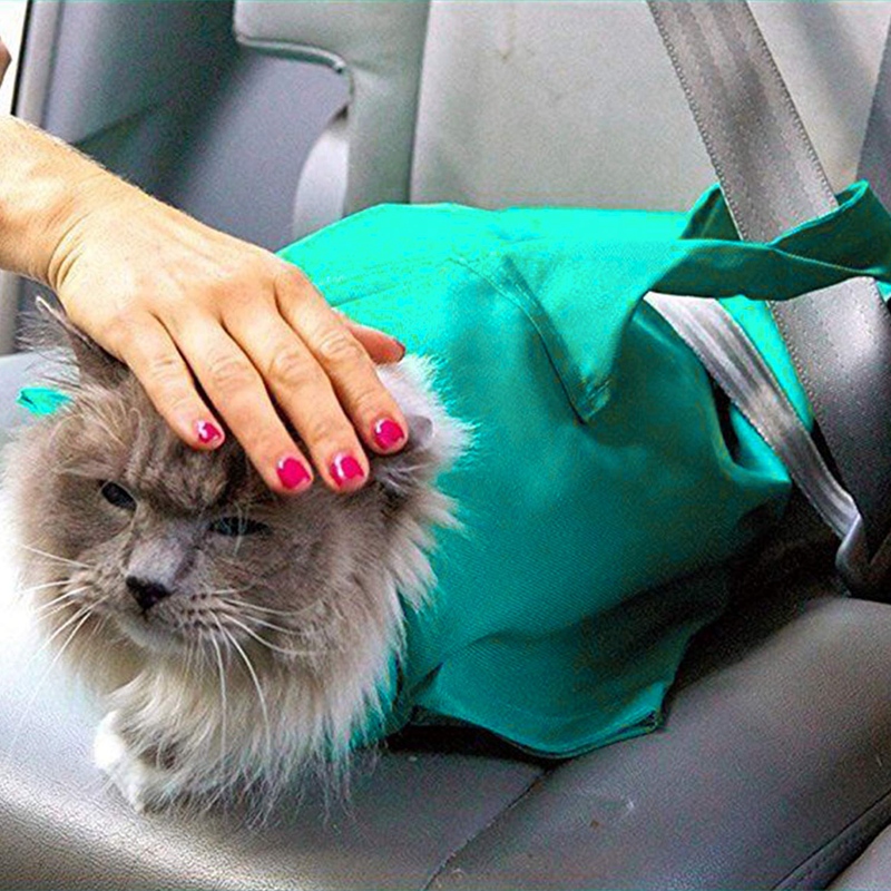 zwierzę domowe pies Kot z nosidełkiem bezprzewodowy szczeniak torba podróżna na zewnątrz przenośna torba na ramię dla zwierząt obcinanie paznokci czyszczenie torba robić pielęgnacji, był